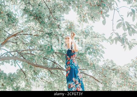 Belle femme caucasienne debout sur l'échelle et cueillant des baies à la ferme. Un fermier heureux récolte les baies saisonnières de l'arbre dans la campagne. Banque D'Images