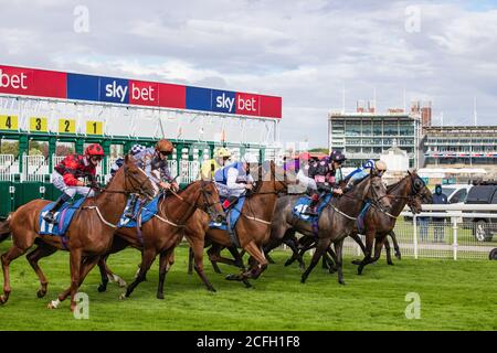 Les chevaux quittent le début de la course de Sky Bet handicap pendant le festival de l'Ebor en août 2020. Banque D'Images