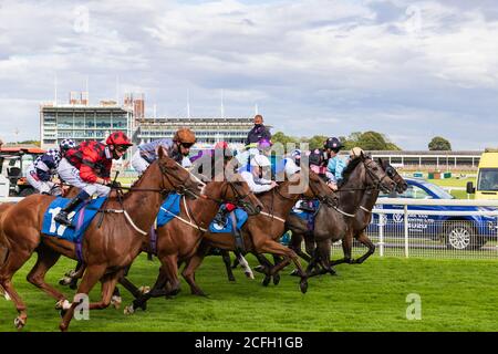 Les chevaux quittent le début de la course de Sky Bet handicap pendant le festival de l'Ebor en août 2020. Banque D'Images