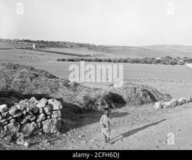 Légende d'origine : champs des bergers. - emplacement: Cisjordanie--Bethléem ca. 1925 Banque D'Images