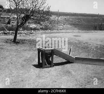 Légende originale : la terrible peste des criquets en Palestine Mars-juin 1915. Piège portable avec sac attaché - emplacement : env. 1915 Banque D'Images