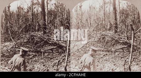 La bataille du bois de Belleau pendant la première Guerre mondiale. Trous déchirés par des coquilles énormes. Là où nos troupes alliées se sont battues à Belleau Woods, France deux soldats se mettent en travers de débris brisés de zone boisée. Banque D'Images