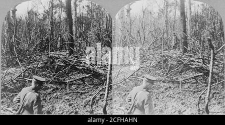 La bataille du bois de Belleau pendant la première Guerre mondiale. Trous déchirés par des coquilles énormes. Là où nos troupes alliées se sont battues à Belleau Woods, France deux soldats se mettent en travers de débris brisés de zone boisée. Banque D'Images