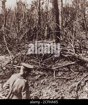 La bataille du bois de Belleau pendant la première Guerre mondiale. Trous déchirés par des coquilles énormes. Là où nos troupes alliées se sont battues à Belleau Woods, France deux soldats se mettent en travers de débris brisés de zone boisée. Banque D'Images