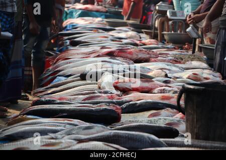 Exposition de poissons à un marché de poissons local bangladeshi. Une foule d'acheteurs et de vendeurs Banque D'Images