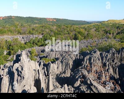 Tsingy de Bemaraha nature strict réserve à Madagascar. Spectaculaire forêt de pierres minérales. C'est un labyrinthe d'aiguilles de calcaire. Rochers, grottes, canyon. Banque D'Images