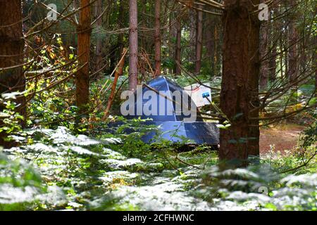 Soucoupe volante sur le sentier des OVNIS dans la forêt de Rendlesham, Suffolk, Royaume-Uni Banque D'Images