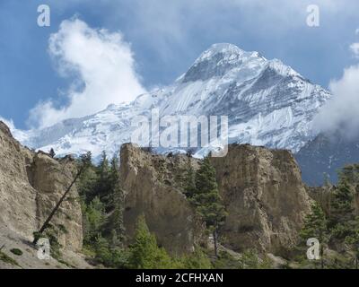 Magnifique paysage himalayas de Mustang, Népal. Montagnes enneigées majestueuses. Rochers pittoresques. Falaises blanches. Conifères Evergreen. Support Nilgiri. Banque D'Images