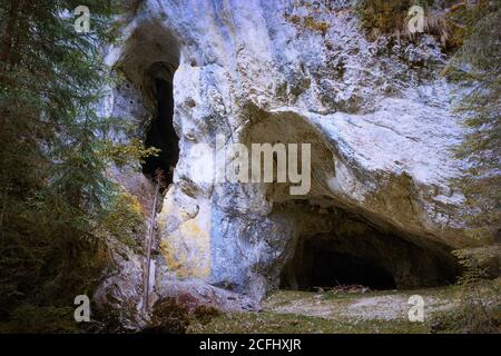 Entrée de la grotte d'eau dans les montagnes Apuseni, Valea Firii; c'est l'une des plus longues de toutes les grottes en Roumanie Banque D'Images