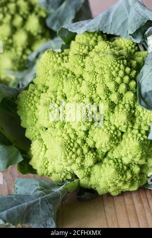 Romanesco, ou chou-fleur vert, gros plan Banque D'Images