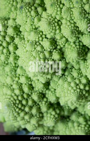 Romanesco, ou chou-fleur vert, plein cadre Banque D'Images