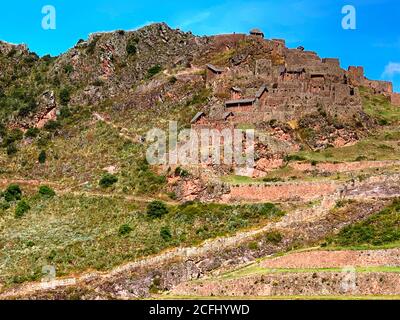 Ancienne forteresse de Pisac dans la Vallée Sacrée des Incas, Pérou. Vieilles ruines de la citadelle en pierre de l'Inca qui a servi de ligne de défense. Terrasse agricole verte Banque D'Images