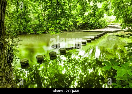 La National Trust Box Hill fait des pas sur le chemin de Box Hill, Surrey, Angleterre Banque D'Images