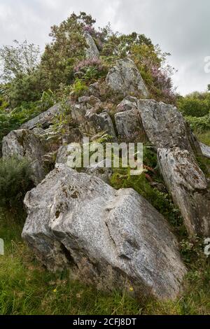 Craig Rhos-y-Felin, Pont Saeson. Croswell, Pembrokeshire, où des pierres bleues de Stonehenge ont été extraites Banque D'Images