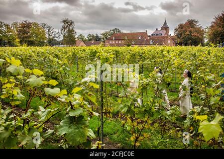 Pays-Bas, Oosterhout, Sint Catharinadal, ordre religieux appelé Norbetine. Sœurs monastiques. Château de Blauwe Kamer. Centre de réflexion, awa Banque D'Images