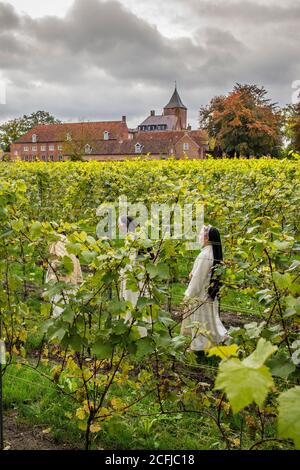 Pays-Bas, Oosterhout, Sint Catharinadal, ordre religieux appelé Norbetine. Sœurs monastiques. Château de Blauwe Kamer. Centre de réflexion, awa Banque D'Images