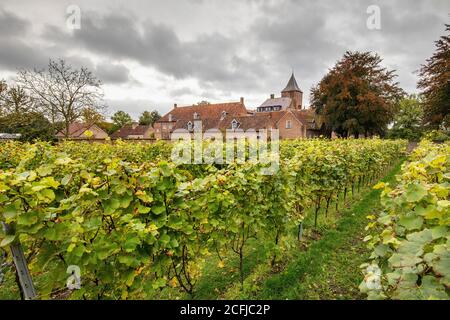 Pays-Bas, Oosterhout, Sint Catharinadal, ordre religieux appelé Norbetine. Sœurs monastiques. Château de Blauwe Kamer. Centre de réflexion, awa Banque D'Images