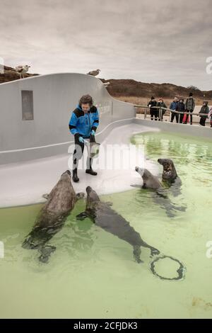 Pays-Bas, Texel Island, de Koog. Ecomare, centre d'information pour la mer des Wadden et la mer du Nord, musée d'histoire naturelle et sanctuaire de phoques et marsouins Banque D'Images