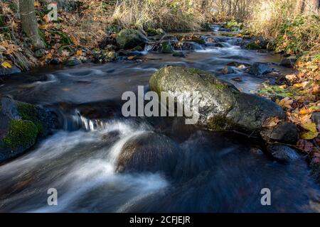 Une cascade d'eau avec des rochers dans le ruisseau d'automne avec des feuilles mortes sur une rive rocheuse. L'eau coule autour des pierres de la rivière. Banque D'Images