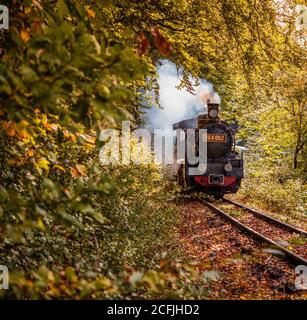 vieux train à vapeur d'époque dans la forêt - voyage lent Banque D'Images
