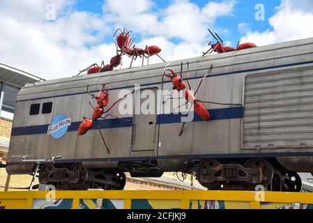 Londres, Royaume-Uni. Le 05septembre 2020. Vue sur un train couvert de sculptures géantes Ant rampant sur une voiture de train à Vinegar Yard Street Food, bar et marché à Fenning Street à Londres par Joe Rush et le Mutod Waste Co. Les sculptures géantes sont faites à partir de matériaux réaffectés, Leur corps et leur tête sont fabriqués à partir de réservoirs de carburant de moto. Crédit : SOPA Images Limited/Alamy Live News Banque D'Images