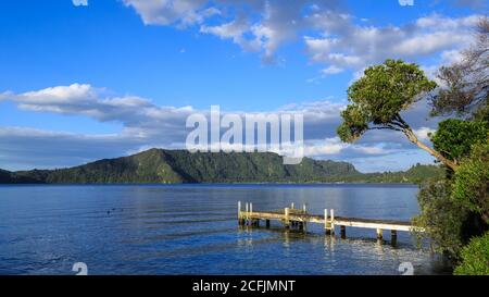 Lac Rotoiti dans la région de Rotorua, Nouvelle-Zélande. Une petite jetée en bois colle sur l'eau. Les collines environnantes sont couvertes de forêt indigène Banque D'Images