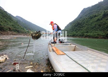 Zhangjiajie, province chinoise du Hunan. 6 septembre 2020. Un villageois démisce le cabotage de la rivière Maoyan dans le district de Yongding, dans la ville de Zhangjiajie, dans la province de Hunan, au centre de la Chine, le 6 septembre 2020. La ville a organisé des gens pour nettoyer régulièrement le cabotage sur le fleuve pour garder le riverway sans entrave. Credit: Wu Yongbing/Xinhua/Alay Live News Banque D'Images
