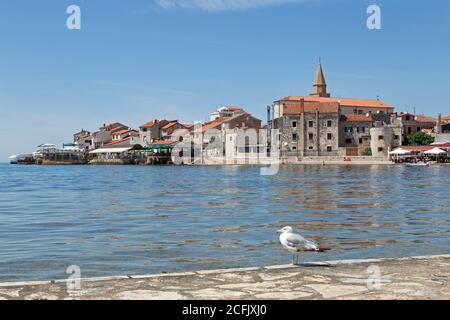 plage, Umag, Istrie, Croatie Banque D'Images