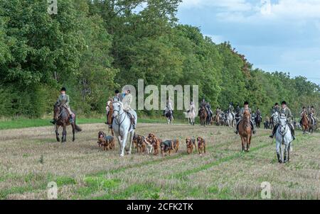 Temple Bruer, Lincolnshire, Royaume-Uni. 6 septembre 2020. L'automne arrive alors que les Cranwell Bloodhounds se rencontrent pour leur premier exercice de chien de la saison. Le huntsman, M. Frank Goddard, était à la tête de la meute qui attirait les adeptes du pied et les cavaliers montés. Credit: Matt Limb OBE/Alamy Live News Banque D'Images