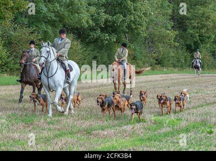 Temple Bruer, Lincolnshire, Royaume-Uni. 6 septembre 2020. L'automne arrive alors que les Cranwell Bloodhounds se rencontrent pour leur premier exercice de chien de la saison. Le huntsman, M. Frank Goddard, était à la tête de la meute qui attirait les adeptes du pied et les cavaliers montés. Credit: Matt Limb OBE/Alamy Live News Banque D'Images