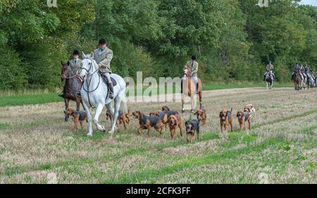 Temple Bruer, Lincolnshire, Royaume-Uni. 6 septembre 2020. L'automne arrive alors que les Cranwell Bloodhounds se rencontrent pour leur premier exercice de chien de la saison. Le huntsman, M. Frank Goddard, était à la tête de la meute qui attirait les adeptes du pied et les cavaliers montés. Credit: Matt Limb OBE/Alamy Live News Banque D'Images