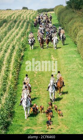 Temple Bruer, Lincolnshire, Royaume-Uni. 6 septembre 2020. L'automne arrive alors que les Cranwell Bloodhounds se rencontrent pour leur premier exercice de chien de la saison. Le huntsman, M. Frank Goddard, était à la tête de la meute qui attirait les adeptes du pied et les cavaliers montés. Credit: Matt Limb OBE/Alamy Live News Banque D'Images