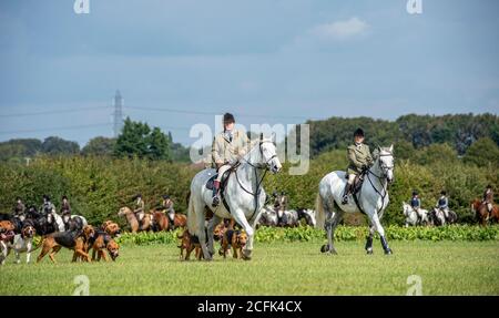 Temple Bruer, Lincolnshire, Royaume-Uni. 6 septembre 2020. L'automne arrive alors que les Cranwell Bloodhounds se rencontrent pour leur premier exercice de chien de la saison. Le huntsman, M. Frank Goddard, était à la tête de la meute qui attirait les adeptes du pied et les cavaliers montés. Credit: Matt Limb OBE/Alamy Live News Banque D'Images