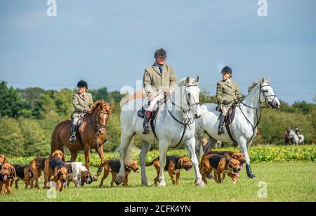 Temple Bruer, Lincolnshire, Royaume-Uni. 6 septembre 2020. L'automne arrive alors que les Cranwell Bloodhounds se rencontrent pour leur premier exercice de chien de la saison. Le huntsman, M. Frank Goddard, était à la tête de la meute qui attirait les adeptes du pied et les cavaliers montés. Credit: Matt Limb OBE/Alamy Live News Banque D'Images