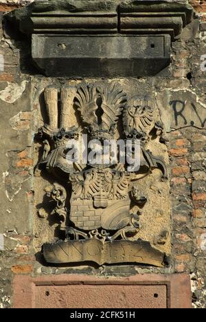 Armoiries à l'entrée du château médiéval en ruines de Ząbkowice Śląskie dans la Basse-Silésie, en Pologne Banque D'Images