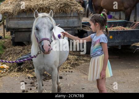 Sourire jolie jeune fille debout toilettant le cheval avec un brossez-vous dans un enclos extérieur Banque D'Images