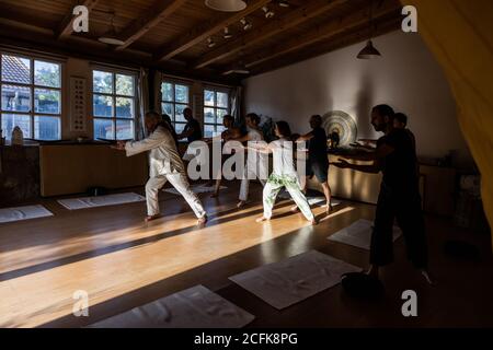 Groupe de personnes avec instructeur effectuant des mouvements fluides avec étiré les bras pendant le chi kung pratique en studio Banque D'Images