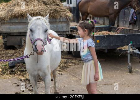 Sourire jolie jeune fille debout toilettant le cheval avec un brossez-vous dans un enclos extérieur Banque D'Images