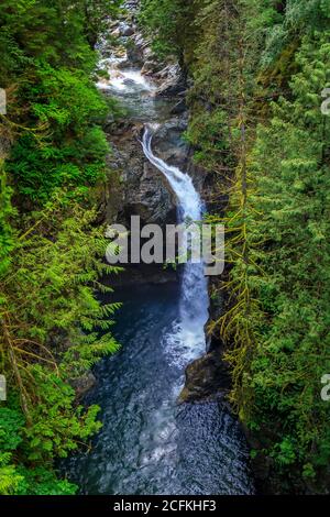 Photo de longue exposition des célèbres chutes Norvan encadrées par des pins au parc Lynn Canyon, à North Vancouver, en Colombie-Britannique Banque D'Images