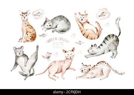 Mignon aquarelle dessin animé chats ensemble illustrations isolées sur blanc. Parfait pour les stikers, le papier peint, la décoration d'affiche. Banque D'Images