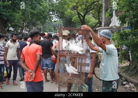 Kolkata, Inde. 06e août 2020. Les vendeurs vendent des pigeons à des clients à l'intérieur du marché des animaux de compagnie.après 164 jours, le marché hebdomadaire des animaux de compagnie rouvre à nouveau avec le maintien de la distance sociale et les normes COVID-19 avec des vendeurs limités sur le marché. Le marché hebdomadaire des animaux de compagnie a été fermé en raison de la pandémie du 25 mars 2020. (Photo de Satyajit Shaw/Pacific Press) crédit: Pacific Press Media production Corp./Alay Live News Banque D'Images