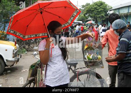 Kolkata, Inde. 06e août 2020. Une fille tient la cage pour vérifier les oiseaux avant de l'acheter, à l'intérieur du marché des animaux de compagnie.après 164 jours hebdomadaire, le marché des animaux de compagnie rouvre à nouveau avec le maintien de la distance sociale et les normes COVID-19 avec des vendeurs limités dans le marché. Le marché hebdomadaire des animaux de compagnie a été fermé en raison de la pandémie du 25 mars 2020. (Photo de Satyajit Shaw/Pacific Press) crédit: Pacific Press Media production Corp./Alay Live News Banque D'Images