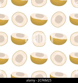 Illustration sur le thème de grandes couleurs sans couture longan, motif de fruits lumineux pour l'étanchéité. Motif fruit composé d'une belle longue sans couture. Simple Illustration de Vecteur