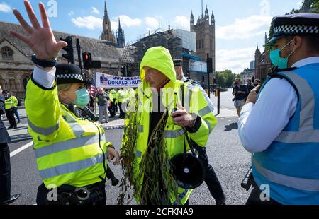 Westminster, Londres, Royaume-Uni. 1er septembre 2020. Extinction de la rébellion manifestation de Londres, le premier des 10 jours des actions prévues sur le changement climatique. Les manifestants du XR plus tôt avaient marché avec des pancartes et des bannières de Trafalgar Square et occupé le Parliament Square et les routes qui l'entourent. Les manifestants ont demandé au Parlement de soutenir le projet de loi sur les urgences climatiques et écologiques (projet de loi de l'ÉEC). Au fur et à mesure que le temps avançait, la police métropolitaine a procédé à des arrestations, en éliminant la zone devant le Parlement, et certains manifestants ont commencé à partir. Plusieurs manifestations étaient prévues dans tout le Royaume-Uni. Crédit : Stephen Bell/Alay Banque D'Images