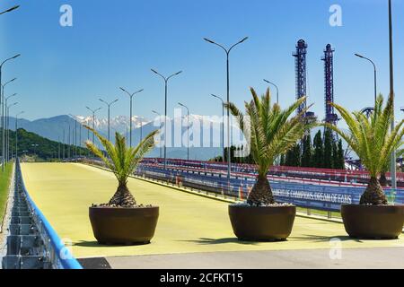 Russie, Sotchi, région de Krasnodar-juin 05.2017: palmiers dans de grands pots de fleurs sur un pont piétonnier lumineux dans le Parc olympique Sotchi, un jour ensoleillé Banque D'Images