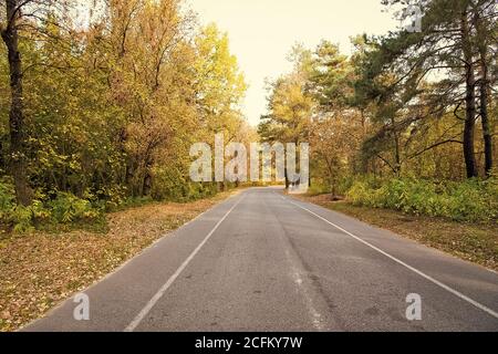 L'automne est tout autour de nous. Route à travers la forêt d'automne. Desolate road sur paysage naturel. Route asphaltée. Route dans la campagne. Voyager et voyager. Voyage de saison de l'automne. Vacances d'automne. Banque D'Images