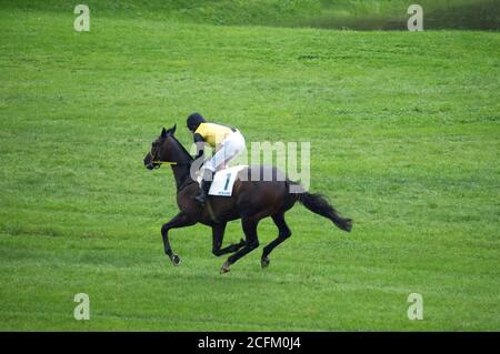 Cheval unique avec un jockey galopant à la course le 6 septembre 2020, à Merano, en Italie. Banque D'Images