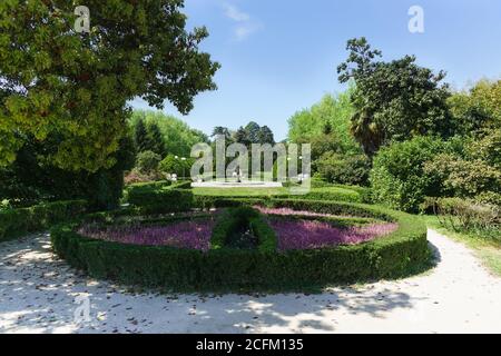 Parc des cultures du Sud, Adler, Sotchi, Russie - 05 mai 2019 : lit de violettes, bordé de buissons taillés de buis et de fontaine dans le vieux parc Banque D'Images