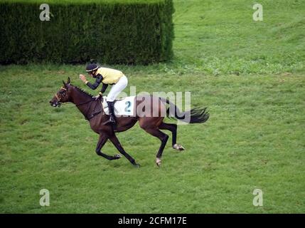 Cheval unique avec un jockey galopant à la course le 6 septembre 2020, à Merano, en Italie. Banque D'Images