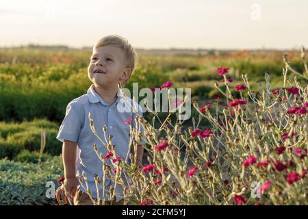 Enfance, concept de style provençal - Happy Small 2 ans Blond petit garçon d'apparence slave caucasienne se tient près de buisson de pourpre sauvage Banque D'Images